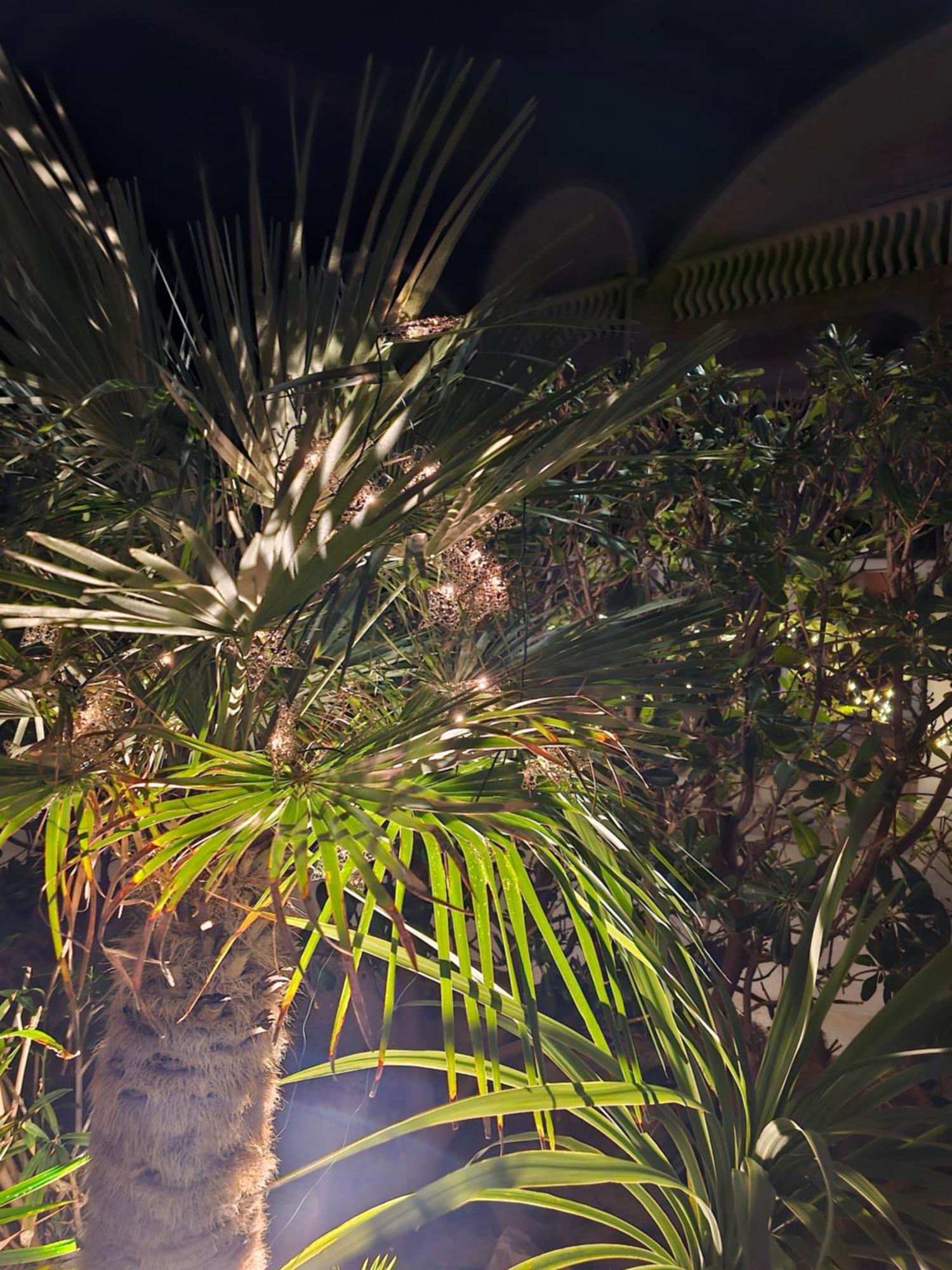 ויר Apartment Melani מראה חיצוני תמונה