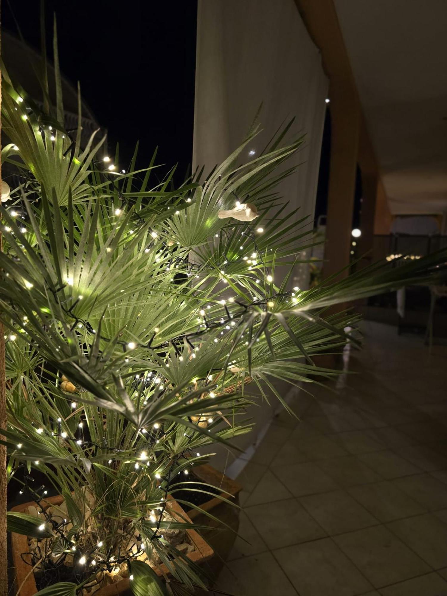 ויר Apartment Melani מראה חיצוני תמונה
